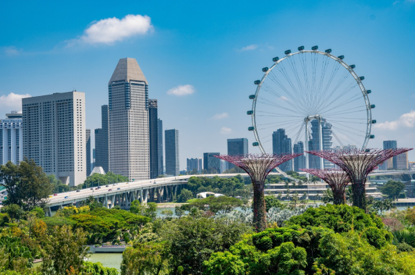 You should understand the types of liquidation and winding up services applicable in Singapore for different types of businesses