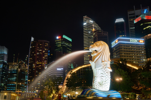 This comprehensive guide delves into the various facets of Singapore company liquidation, offering a detailed insight into both voluntary and compulsory processes