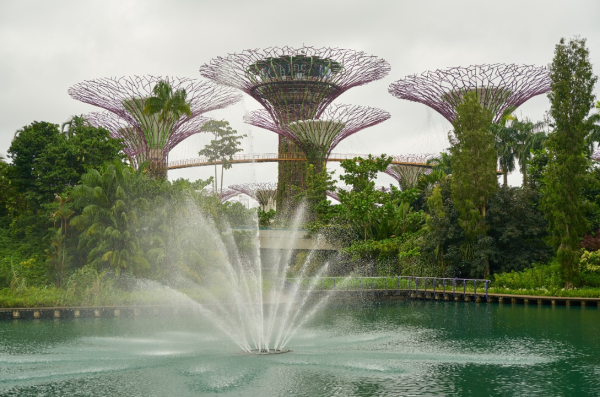 Singapore company liquidation process can be complex, requiring adherence to various regulations and involvement of different government agencies